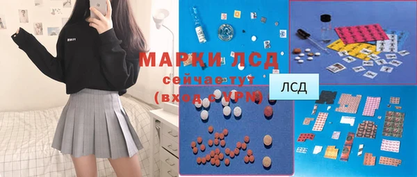 хмурый Ельня