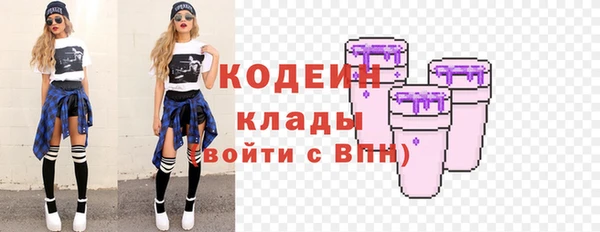 хмурый Ельня