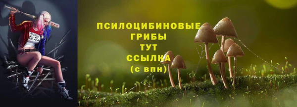 ешки Дмитров