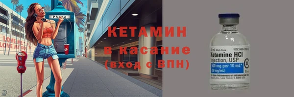 хмурый Ельня