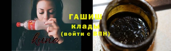 прущие грибы Елабуга