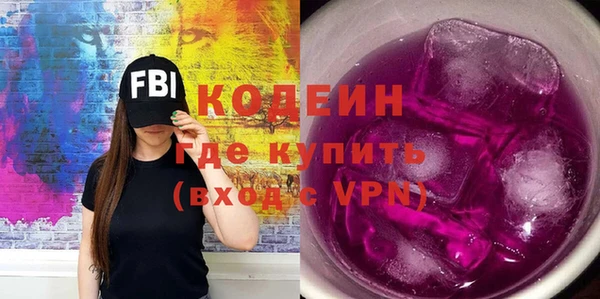 хмурый Ельня