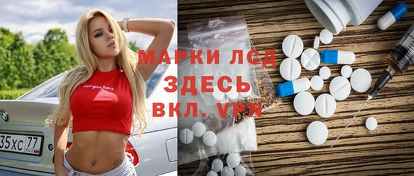 прущие грибы Елабуга