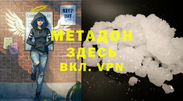 прущие грибы Елабуга
