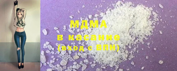 хмурый Ельня