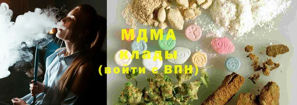 прущие грибы Елабуга