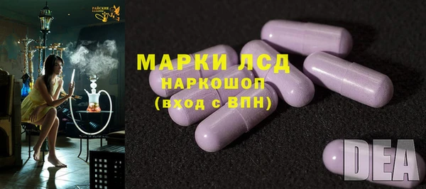 прущие грибы Елабуга