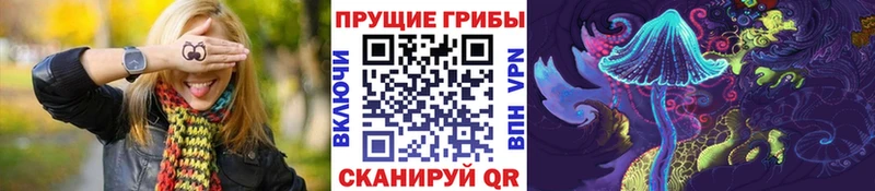 Галлюциногенные грибы Psilocybine cubensis Чекалин