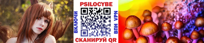 наркота  Чекалин  ссылка на мегу рабочий сайт  Галлюциногенные грибы Psilocybe 